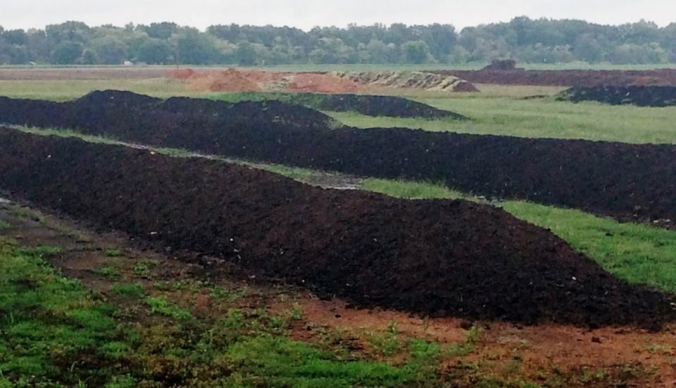 organic compost